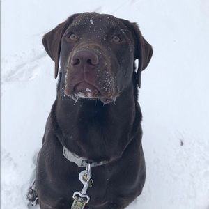 Meet your Posher, Eric